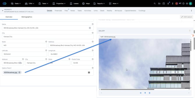 gallery - see gallery